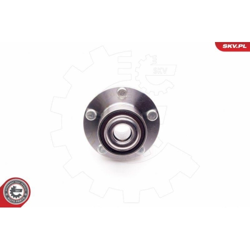 ESEN SKV Radlagersatz