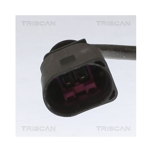 TRISCAN Sensor, Abgastemperatur