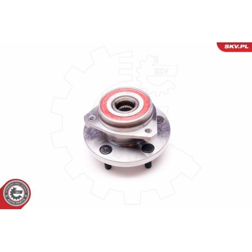 ESEN SKV Radlagersatz