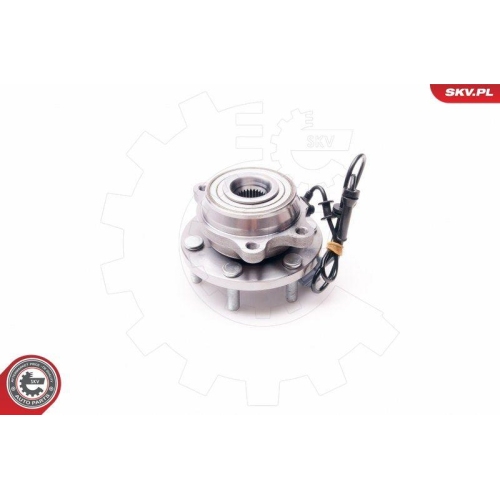 ESEN SKV Radlagersatz
