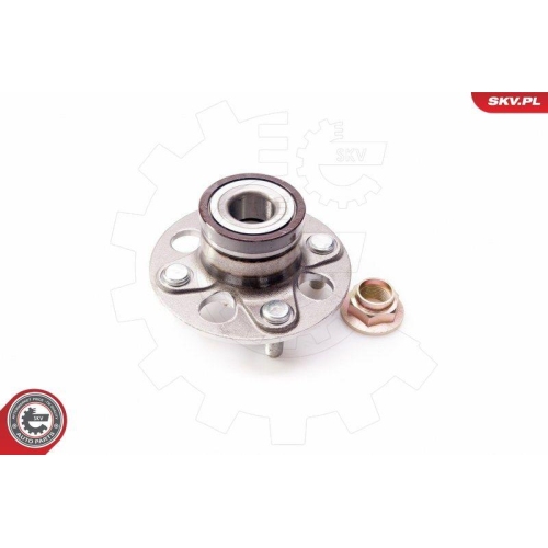 ESEN SKV Radlagersatz