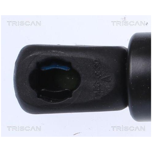 TRISCAN Gasfeder, Koffer-/Laderaum