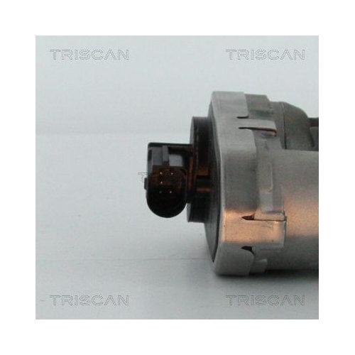 TRISCAN AGR-Ventil