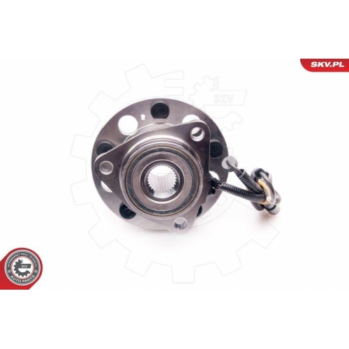 ESEN SKV Radlagersatz