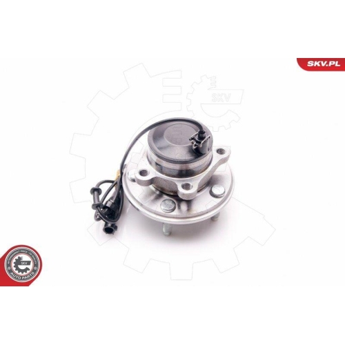 ESEN SKV Radlagersatz