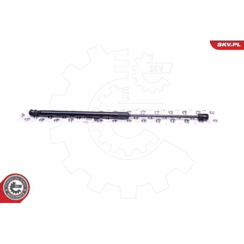 ESEN SKV Gasfeder, Koffer-/Laderaum