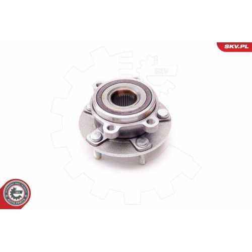 ESEN SKV Radlagersatz