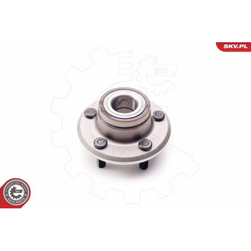 ESEN SKV Radlagersatz