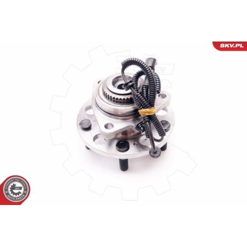 ESEN SKV Radlagersatz