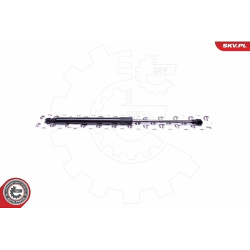 ESEN SKV Gasfeder, Koffer-/Laderaum