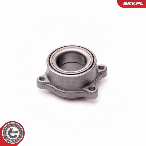 ESEN SKV Radlagersatz