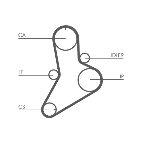 CONTINENTAL CTAM Zahnriemen