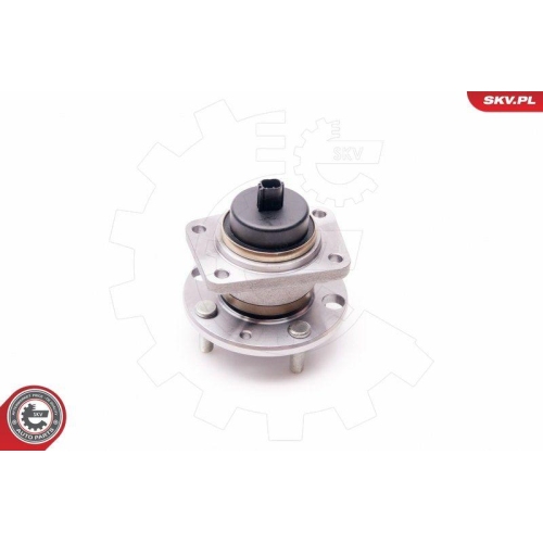 ESEN SKV Radlagersatz