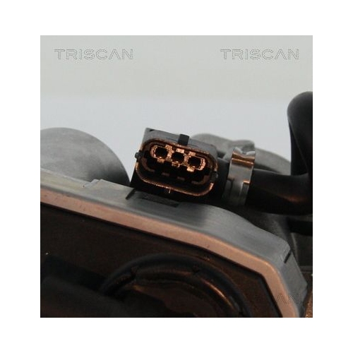 TRISCAN AGR-Ventil