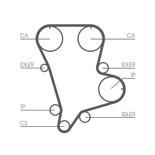 CONTINENTAL CTAM Zahnriemen