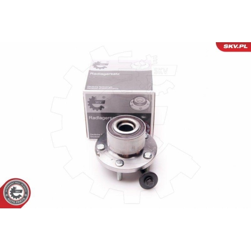 ESEN SKV Radlagersatz