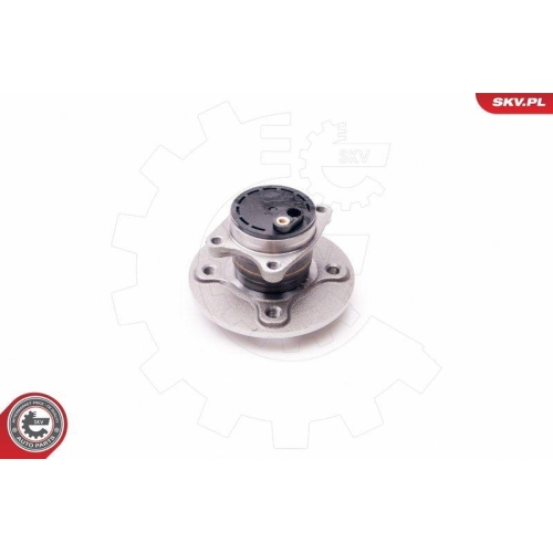 ESEN SKV Radlagersatz