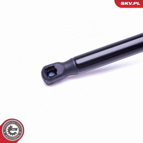 ESEN SKV Gasfeder, Koffer-/Laderaum