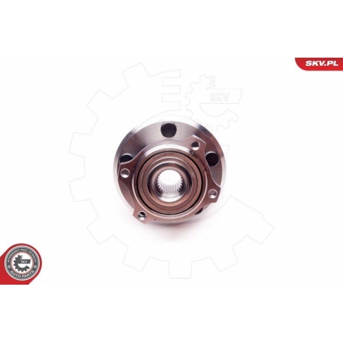 ESEN SKV Radlagersatz