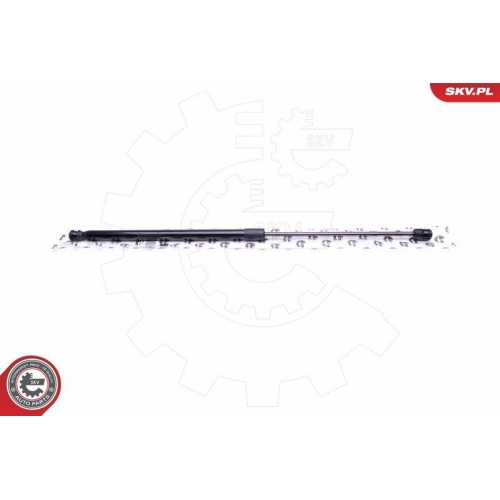 ESEN SKV Gasfeder, Koffer-/Laderaum