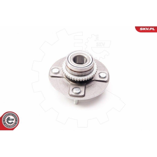 ESEN SKV Radlagersatz
