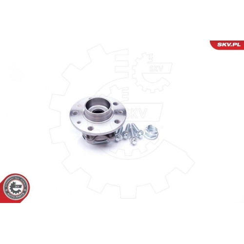 ESEN SKV Radlagersatz