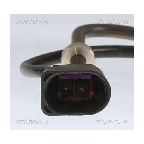 TRISCAN Sensor, Abgastemperatur