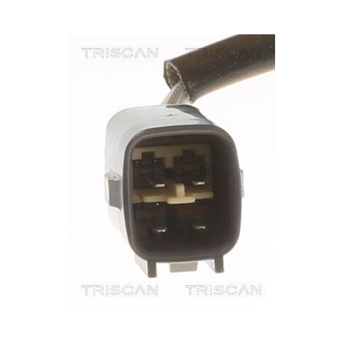 TRISCAN Lambdasonde