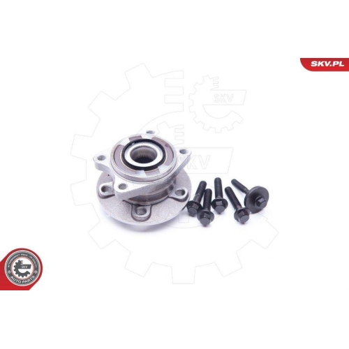 ESEN SKV Radlagersatz