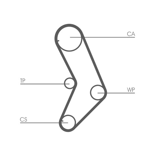 CONTINENTAL CTAM Zahnriemen