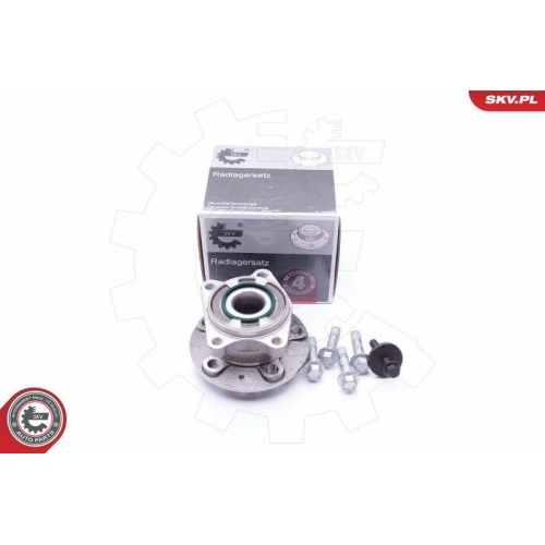 ESEN SKV Radlagersatz