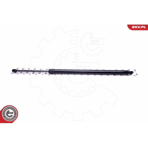 ESEN SKV Gasfeder, Koffer-/Laderaum