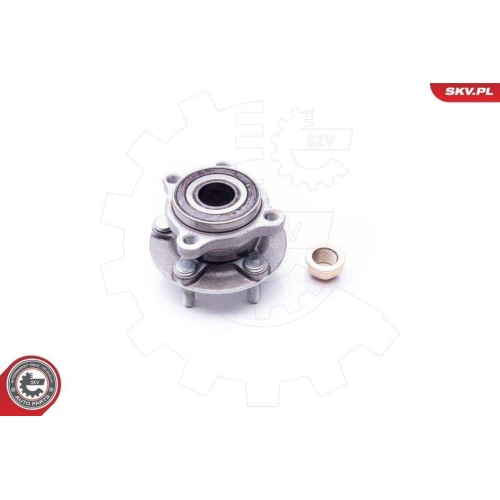 ESEN SKV Radlagersatz