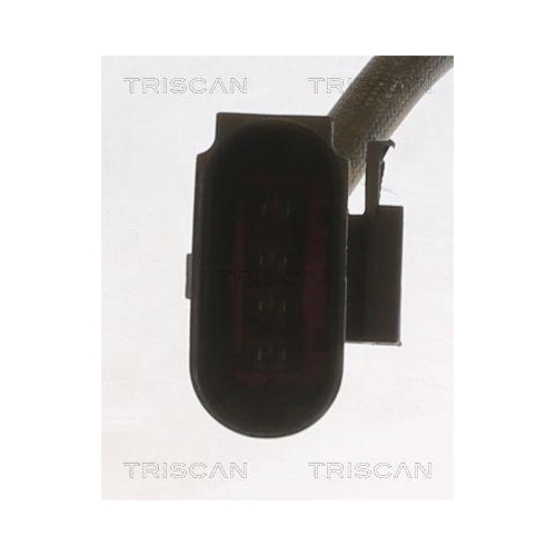 TRISCAN Lambdasonde