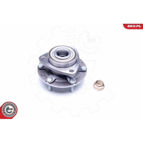 ESEN SKV Radlagersatz