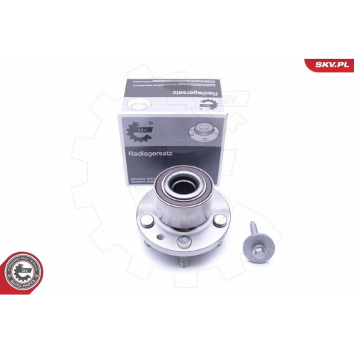 ESEN SKV Radlagersatz