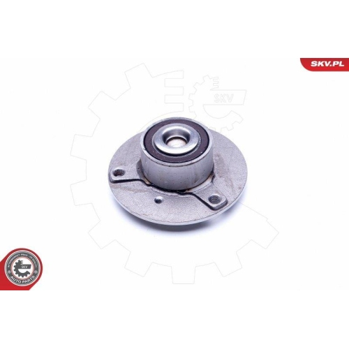 ESEN SKV Radlagersatz