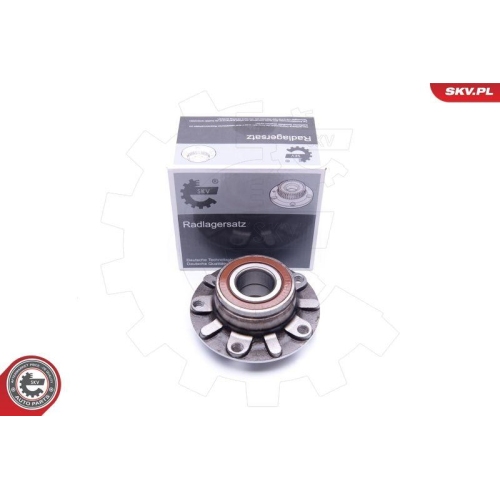 ESEN SKV Radlagersatz