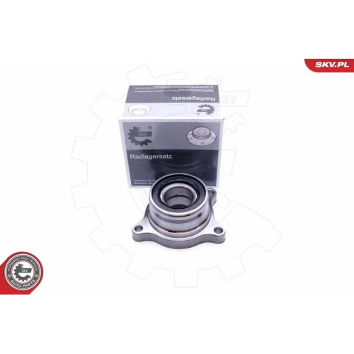 ESEN SKV Radlagersatz