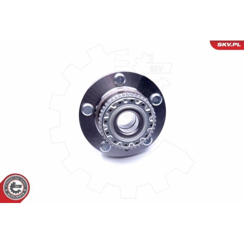 ESEN SKV Radlagersatz