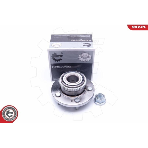 ESEN SKV Radlagersatz