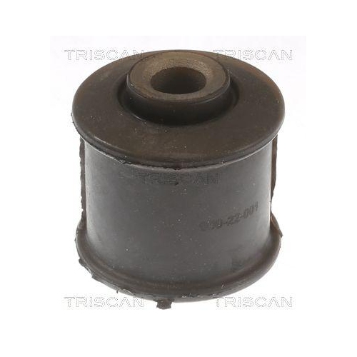 TRISCAN Lagerung, Lenker