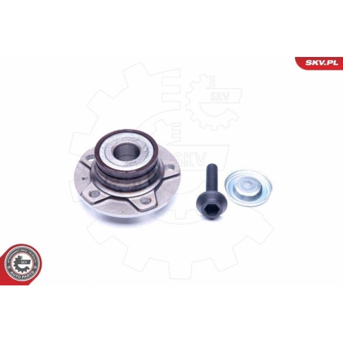 ESEN SKV Radlagersatz