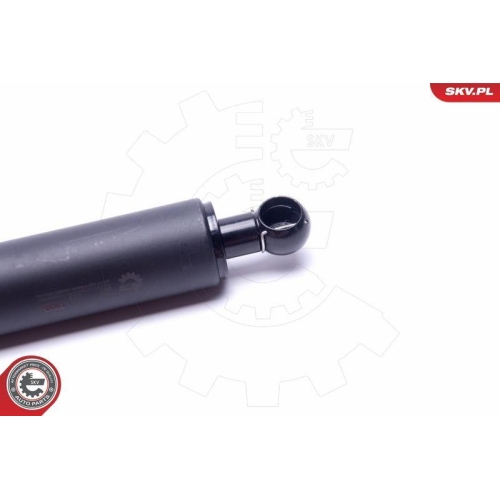 ESEN SKV Gasfeder, Koffer-/Laderaum