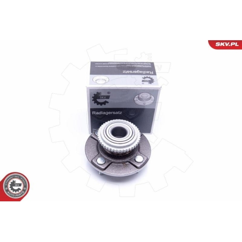 ESEN SKV Radlagersatz