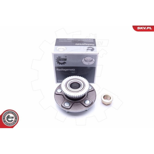 ESEN SKV Radlagersatz