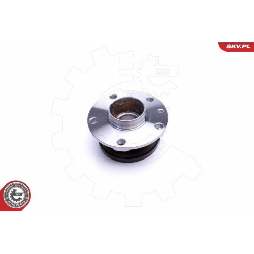 ESEN SKV Radlagersatz