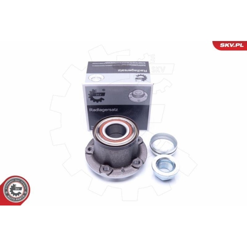 ESEN SKV Radlagersatz