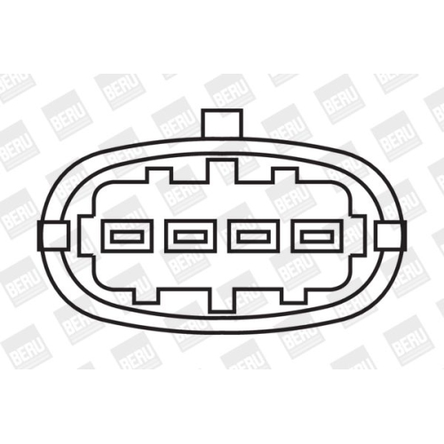 BorgWarner (BERU) Zündspule