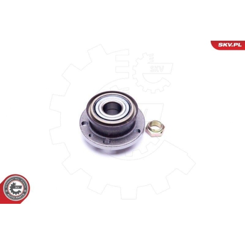 ESEN SKV Radlagersatz
